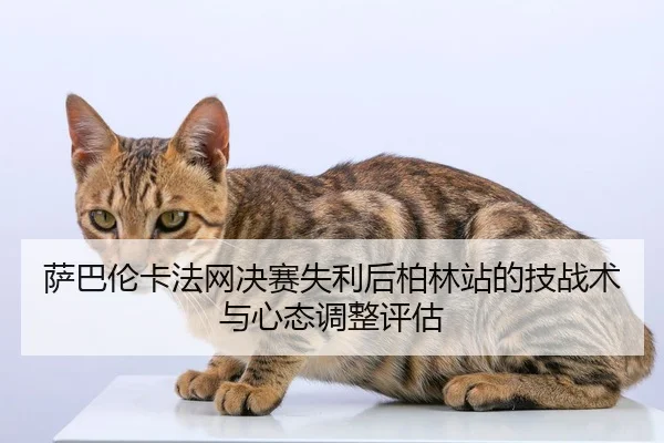 sa-ba-lun-ka-fa-wang-jue-sai-shi-li-hou-bo-lin-zhan-de-ji-zhan-shu-yu-xin-tai-tiao-zheng-ping-gu-2-697.jpg